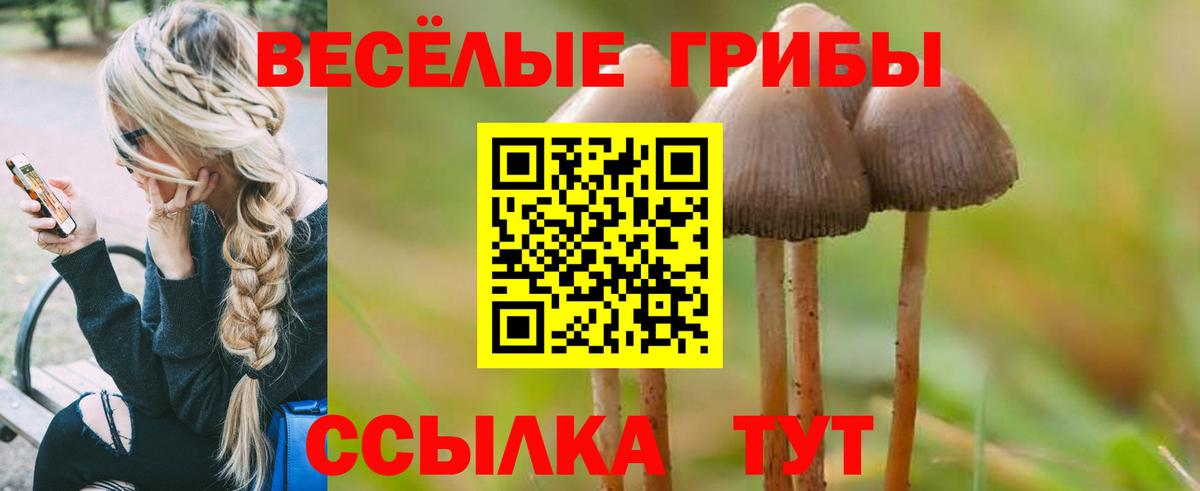 Псилоцибиновые грибы MAGIC MUSHROOMS  Вход с VPN  Спасск-Дальний 
